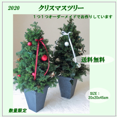 christmastree.jpg